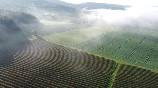 Drohnenaufnahme, Nebel &uuml;ber Johannisbeerplantage und Agrarland im Spessart