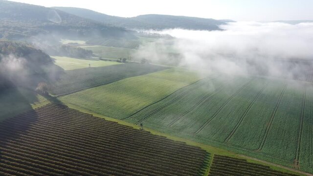 Drohnenaufnahme, Nebel &uuml;ber Johannisbeerplantage und Agrarland im Spessart