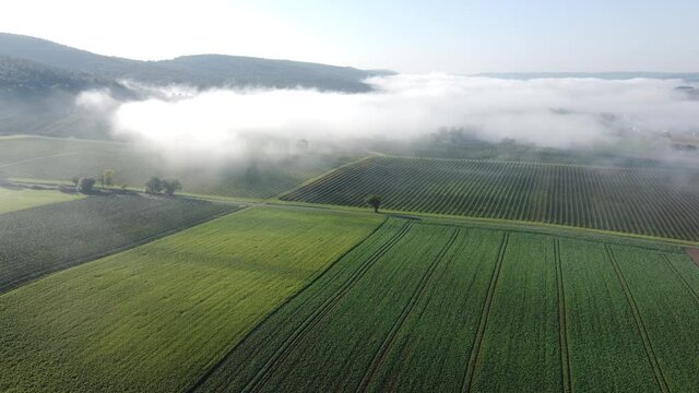 Drohnenaufnahme, Nebel &uuml;ber Johannisbeerplantage und Agrarland im Spessart