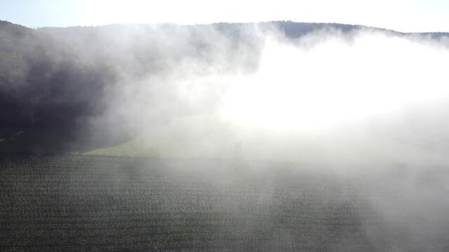 Drohnenaufnahme, Nebel &uuml;ber Spessart, Agrarland und Johannisbeerplantage
