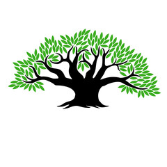 Silhouette of a tree with green leaves