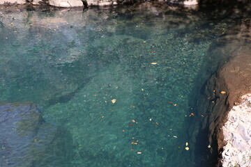 四万川の四万甌穴群。四万ブルーと呼ばれる青い水が流れる川底に、いくつもの円形の穴がある。窪みに石が入り込み、くるくる回ることでできたもの。天然記念物。