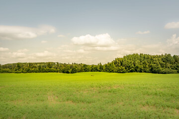field and blue sky