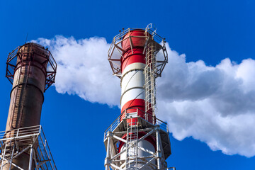 Natural gas used for heating and electricity generation.