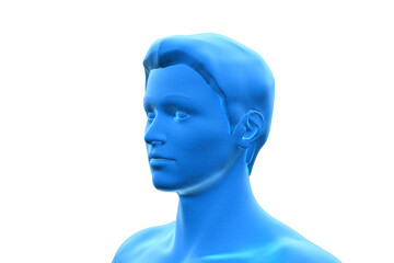 Man, Head of Human Male, 3D