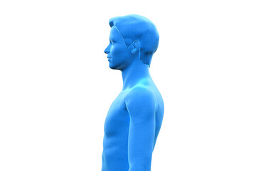 Man, Body of Human Male, 3D, Upper Torso