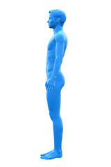 Man, Body of Human Male, 3D