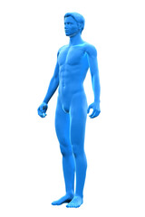 Man, Body of Human Male, 3D