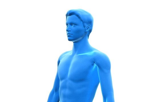 Man, Body of Human Male, 3D, Upper Torso