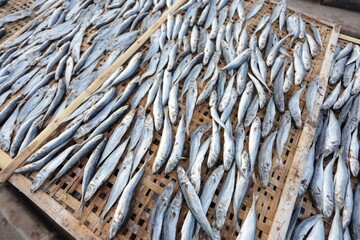 Indonesian salted fish dried on the beach. Food preservation, anchovies are fish that are preserved in dry salt and thus preserved for later eating.
