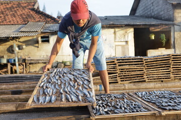 workers are arranging salted fish on bamboo trays to be dried and prepared for sale at the local...