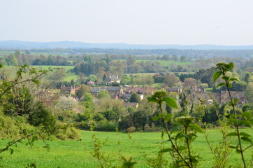 Landscape with field