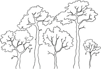 Deciduous tree contour pen, vector illustration