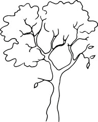 Deciduous tree contour pen, vector illustration
