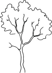 Deciduous tree contour pen, vector illustration