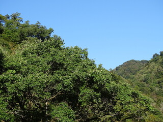 Obraz premium 山奥