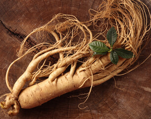  fresh ginseng on wooden background