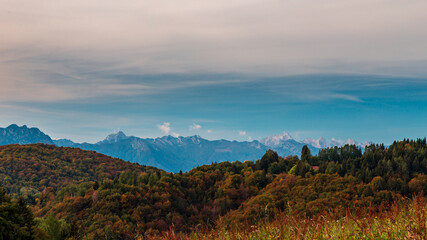 Colors are exploding in the woods of Carnic Alps