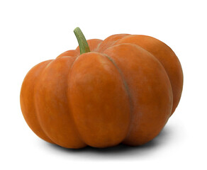 Thanksgiving day. autumn background. Orange pumpkin on white . Thanksgiving day wallpaper. Banner sale