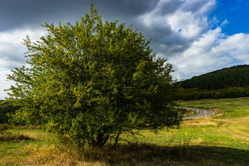 Fototapeta premium Rural Caucasus mountain landscape