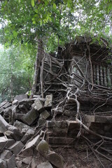 Obraz premium ベンメリア遺跡