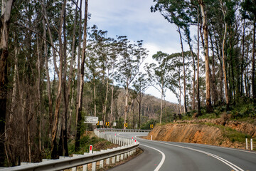 Winding empty road highway surrounded by trees in Australia. Mountain road.