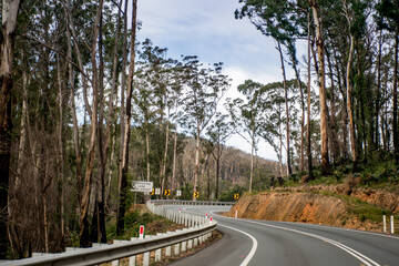 Winding empty road highway surrounded by trees in Australia. Mountain road. © Daria Nipot