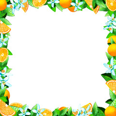 Fototapeta na wymiar Orange, blossom, leaves. Watercolor illustration. Frame on an isolated white bacground.