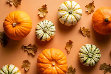 Ripe pumpkins and dry oak leaves on orange background. Autumn, fall, Thanksgiving day concept.