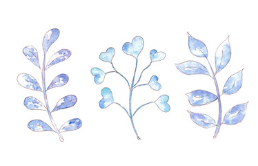 Hand drawn watercolor set of winter plant. Botanic illustration.