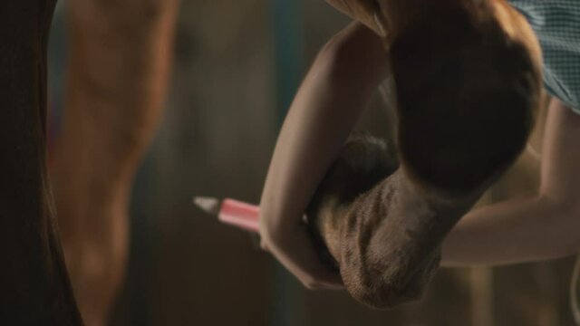 Crop girl removing dirt from horse hoof