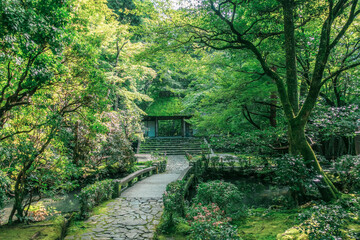 I went to Kiyomizu Temple and Honen-in Temple in Kyoto.