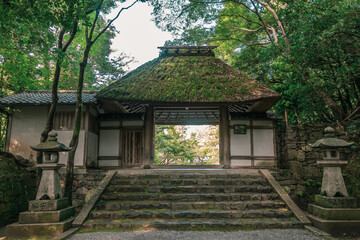 Fototapeta na wymiar I went to Kiyomizu Temple and Honen-in Temple in Kyoto.