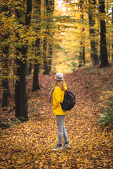 Fototapeta premium Hike in autumn forest. Tourist woman with backpack walking in woodland footpath at fall season