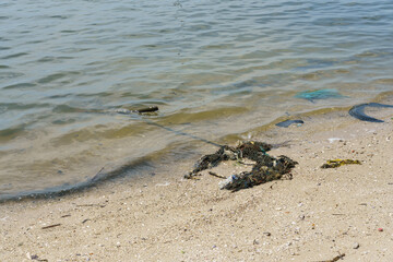 The fragments of the net washed by the waves washed up on the beach.