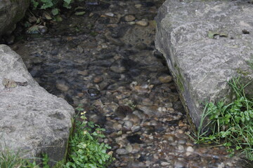 parc de rouelle  , France , randonné , GR21 