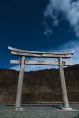 Torii gates