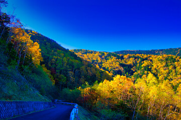 Autumn leaves of Yatsugatake and Asama Mountains in the sea area