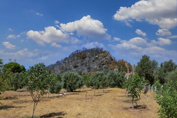 Fototapeta na wymiar Places burned in the forest fire in Mugla - Turkey in July 2021