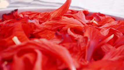 Red flower petals kept under white cloth.