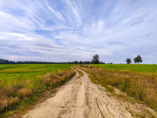 Beautiful gravel road in Saint-Petersburg suburbs.