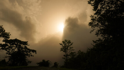 Beautiful sunset behind and silhouette of forest