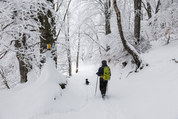 Lone trekker with his dog in the woods in winter