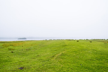 Grass meadow by a lake in fog