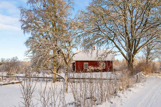 Red cottage in beautiful winter landscape