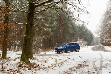 Driving the forest in winter time. 