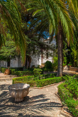 Mediterranean garden. 