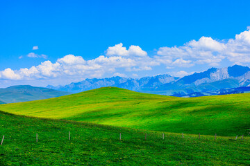Fototapeta na wymiar Green grass and mountain with blue sky background.Green grassland landscape in Xinjiang,China.