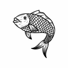 fish illustration hand drawn isolated design
