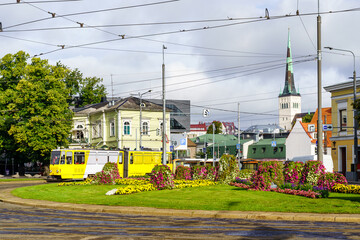 Tallinn city yellow tram passing through a square with many flowers. - obrazy, fototapety, plakaty